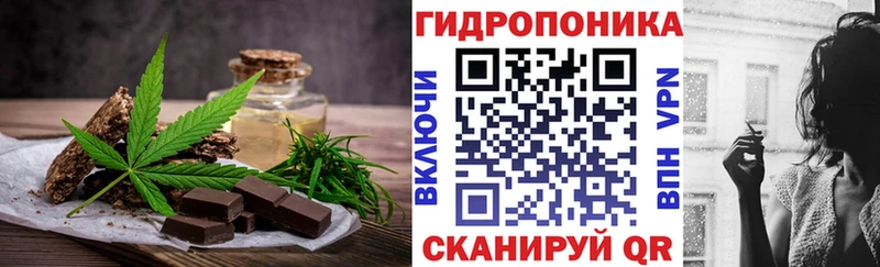 блэк спрут вход  купить наркотики сайты  Щигры  Cannafood конопля 